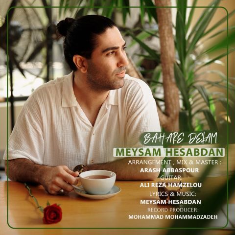 دانلود آهنگ میثم حسابدان به نام بهار دلم